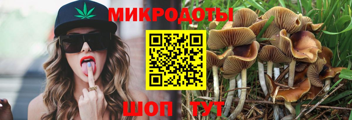 Псилоцибиновые грибы мухоморы Новодвинск