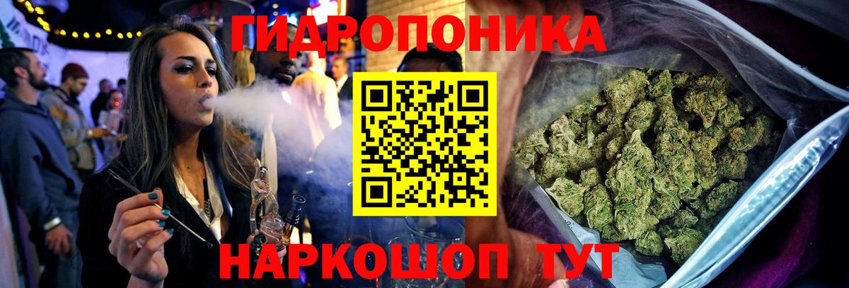 Каннабис White Widow Новодвинск