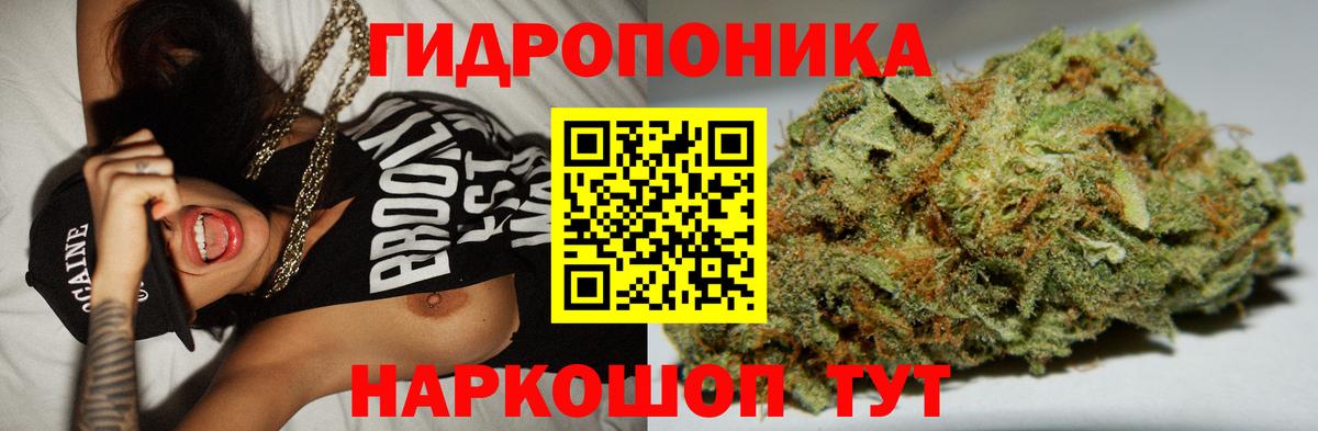Шишки марихуана индика  МАРИХУАНА конопля  Каннабис Bruce Banner  Вход с VPN  Новодвинск 